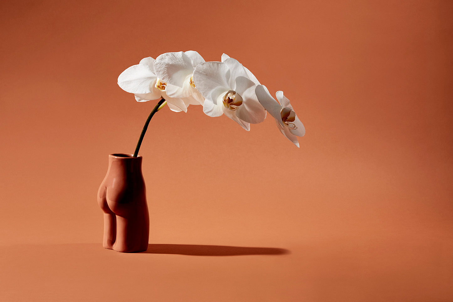 Beysis Femme Vase - Terracotta